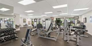 4210 Steamboat Bend unit: 304 Gallery 32