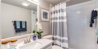 Bermuda Cay Gallery 16