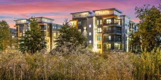 Flats at Springhurst Gallery 36