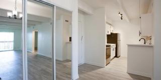 Los Altos Towers Gallery 15