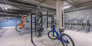 The Julian The Julian Gallery 21