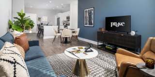 Prose Rhyne Gallery 17