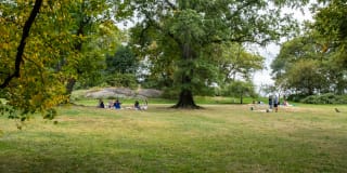 Parc 77 Parc 77 Gallery 28