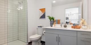 The Carson Gallery 23