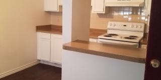 Forest Ridge Gallery 19