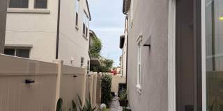7338 Wisteria Lane Gallery 18
