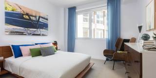 The Triton Gallery 11