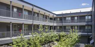 Thrive Argenta Gallery 47