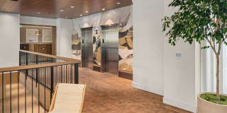 Liza Eastlake Gallery 20