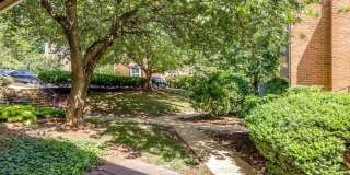 3863 PERSIMMON Circle Gallery 4