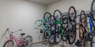 Red Knot at Edinburgh Gallery 47