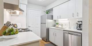 Pebble Creek Gallery 5