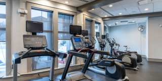 The Encore Gallery 29