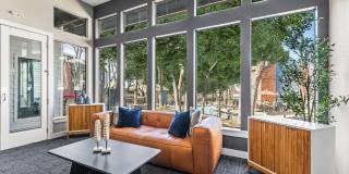 Wood Hollow Gallery 6