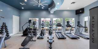 The Palms of Doral Gallery 65
