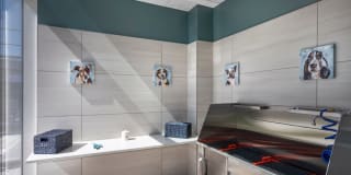 Luminary at One Light Gallery 21