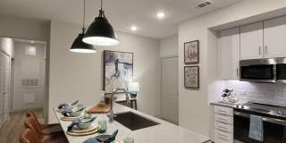 Casagave at Larkspur Gallery 4