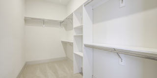 Tindall Park at SouthPark Gallery 29