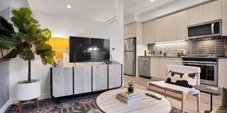 Amara Gallery 20