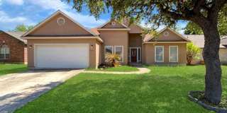 8234 Misty Willow Gallery 1