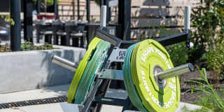 Madison West Elm Gallery 70