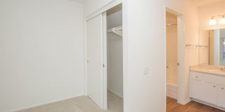 McComber Creek Gallery 23