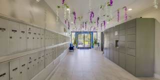 Cypress Park Gallery 19