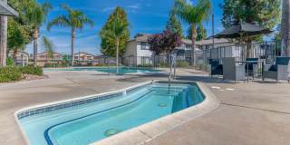 Shoreline Apartments Shoreline Apartments Gallery 4