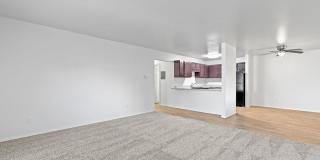 Don Quixote Gallery 6