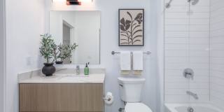 The Alder Gallery 17