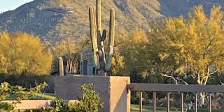 6894 E THIRSTY CACTUS Lane Gallery 48
