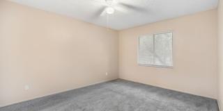 Cozy 2 Bed 1.5 Bathroom in Temple Terrace Gallery 11