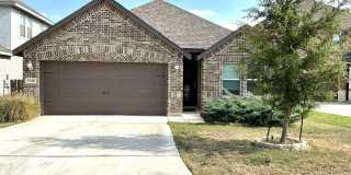 1540 Arcadian Lily Gallery 1