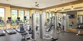 Avery at Turkey Creek Gallery 21