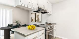 ReNew at the Delta Gallery 1