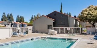 Renew on Summerfield Gallery 19