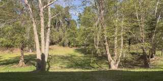 2938 Southwest 35th Place Gallery 19