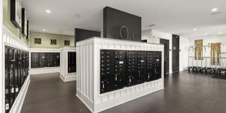 Indigo Stuart Gallery 11