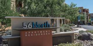 56 North Gallery 3