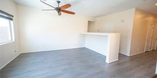 4921 Novelli Place Gallery 5