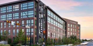 The Laura Gallery 31