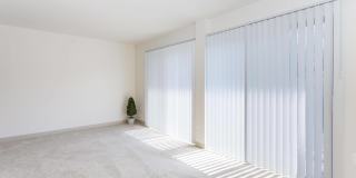 Regency Club Gallery 25