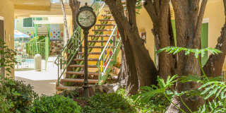 Plaza Apartments Gallery 4