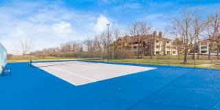 Sterling Place Gallery 22