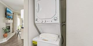 Vetra Chandler Gallery 34