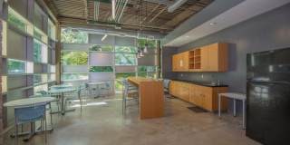Bloom Gallery 8