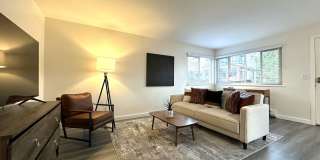 1Bd/1Ba Seattle Apartment Gallery 5