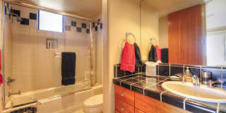 10277 E NOLINA Trail Gallery 15