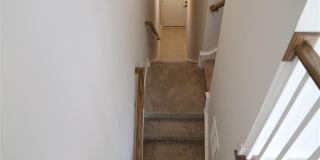 222 Amber Acorn Avenue Gallery 10