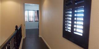1208 Olivia Parkway Gallery 31
